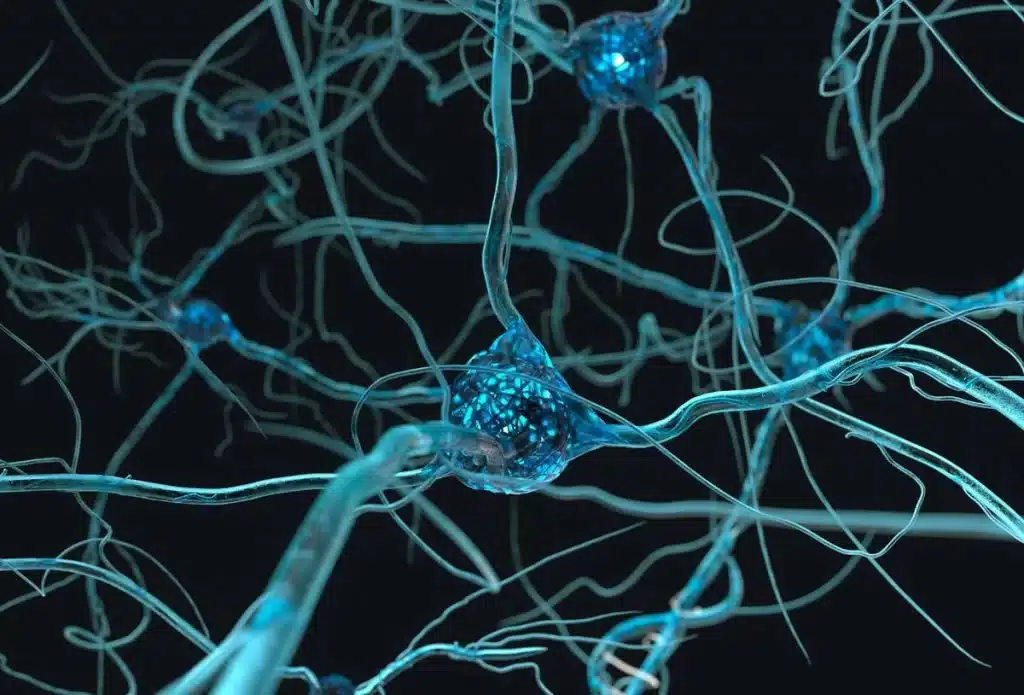 neuronios-neurociência