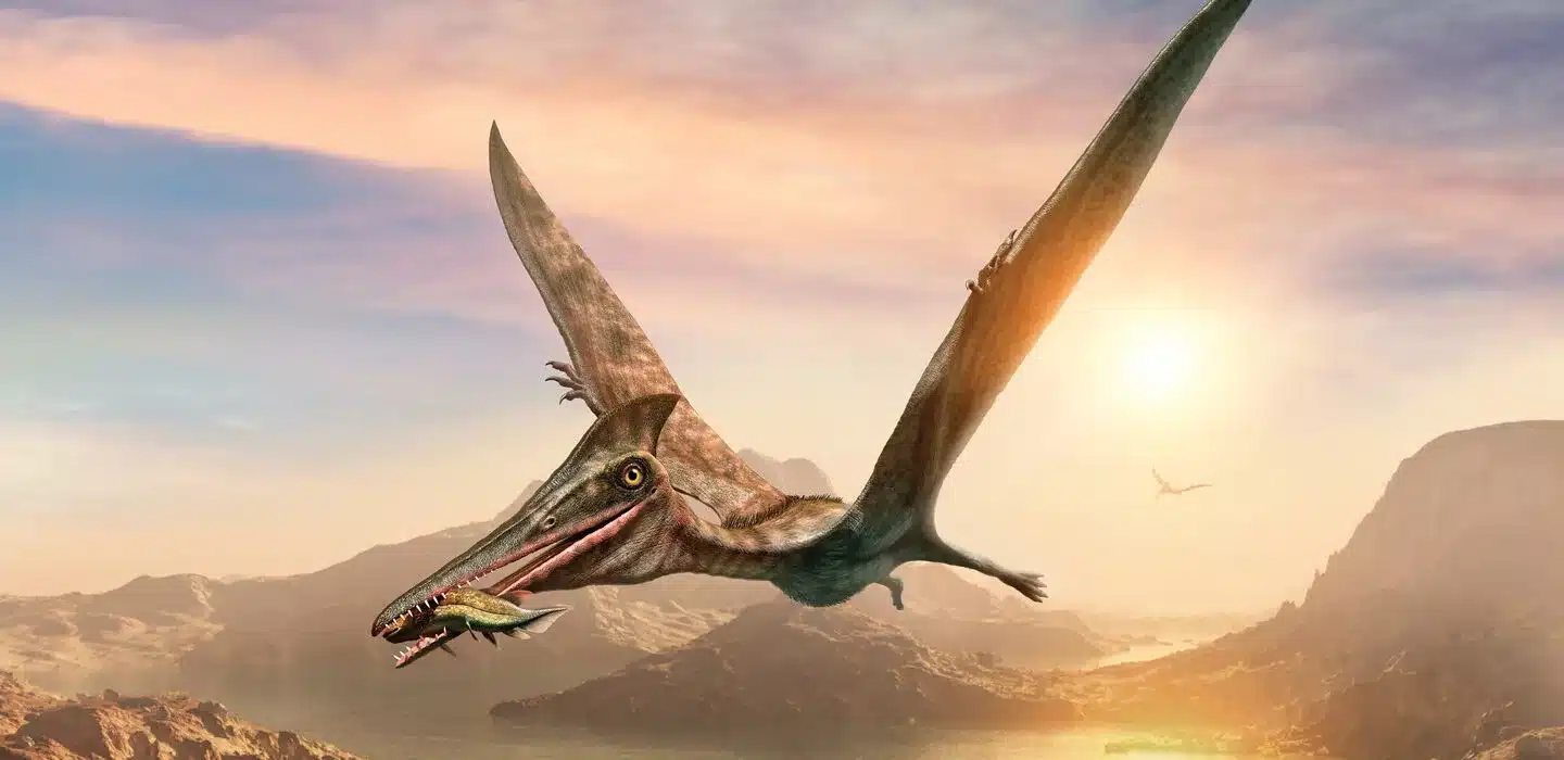 Os pterossauros se originaram há mais de 200 milhões de anos, durante o período Triássico, e foram os primeiros vertebrados a subir aos céus - Ilustração: Warpaintcobra / Istock / Getty Images Plus