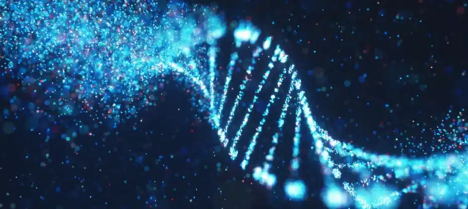 Cientistas sequenciam a última parte do genoma humano: o cromossomo Y