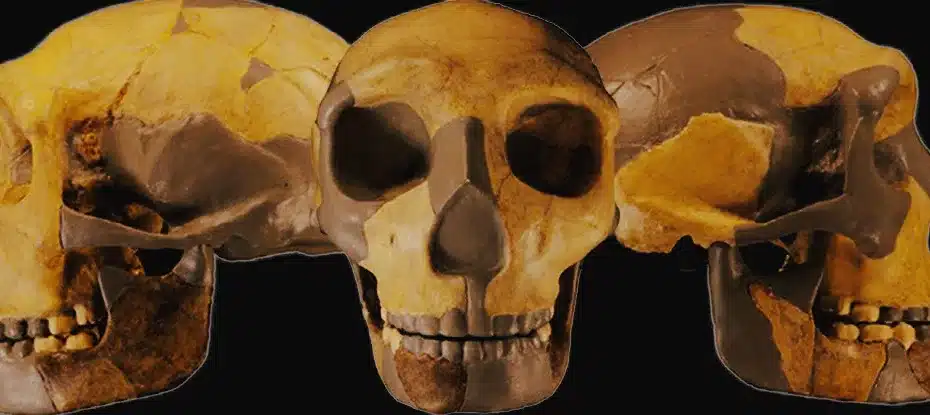 Crânio de homenídeo encontrado na China