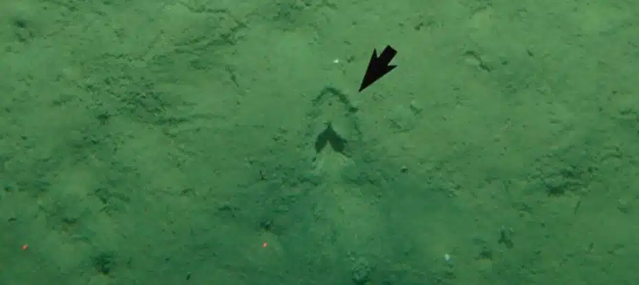 O mistério das pegadas do mar profundo pode finalmente ser resolvido