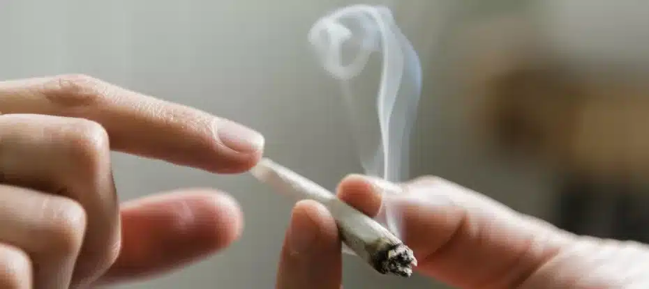 Fumar cannabis pode não ser tão inofensivo quanto você pensa, afirmam pesquisadores