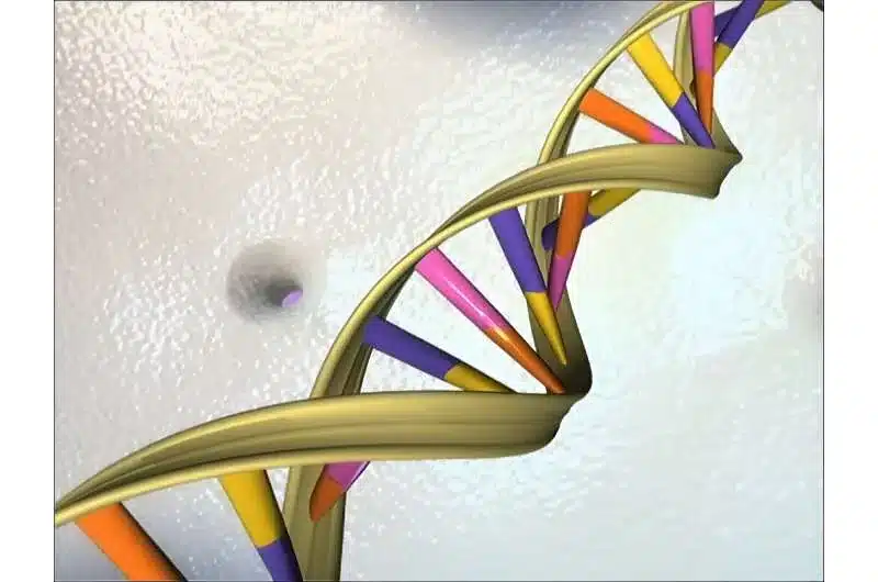 Inteligência Artificial da Google pode prever doenças por mutações genéticas