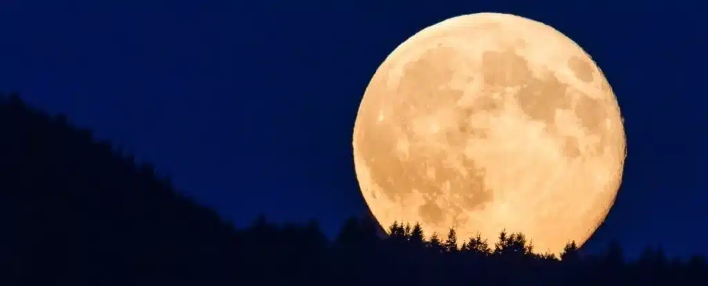 Olho para cima! A última superlua de 2023 surgirá esta noite – uma lua cheia