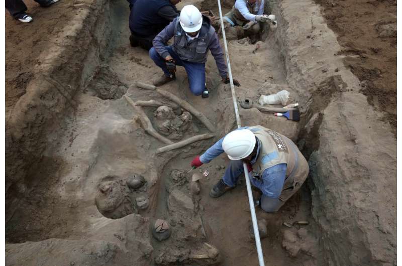 Trabalhadores descobrem oito múmias e objetos pré-incas no Peru