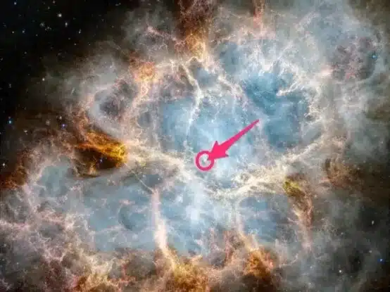El telescopio espacial James Webb domina la impresionante Nebulosa del Cangrejo