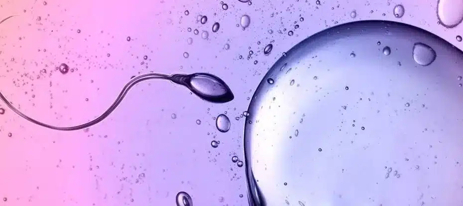 Cientistas detectaram espermatozoides desafiando uma das principais leis da física