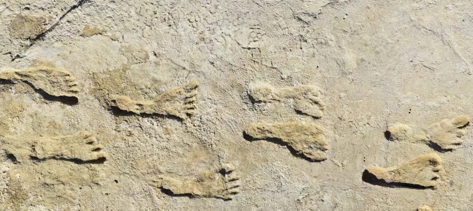Pegadas humanas fossilizadas no Parque Nacional White Sands (National Park Service)
