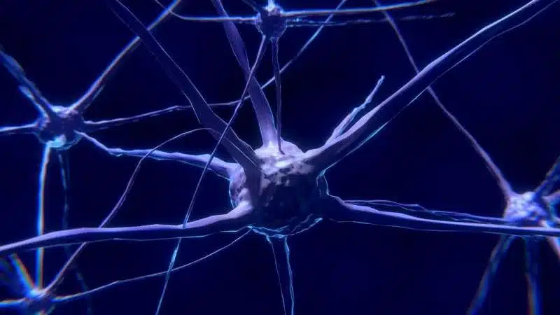 O que aconteceria se a neurotecnologia aprendesse a ler nossas mentes?