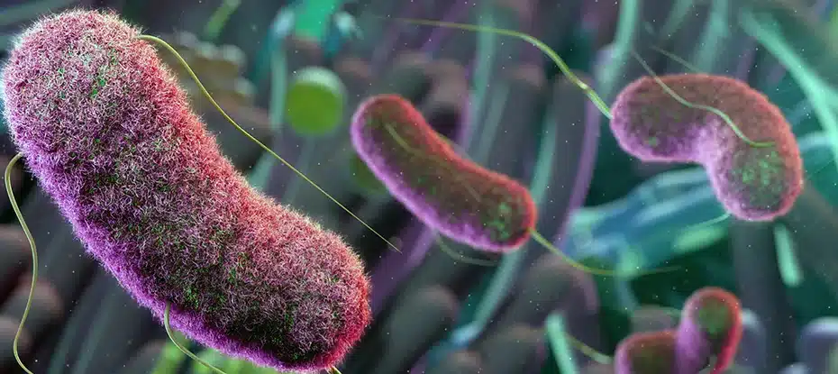 Micróbios podem ser o segredo contra crises epilépticas