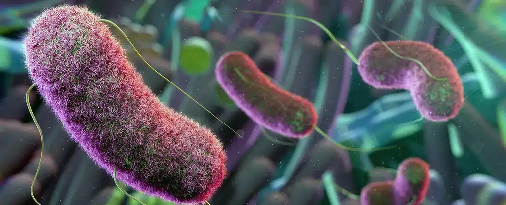 Mikroben könnten das Geheimnis im Kampf gegen epileptische Anfälle sein