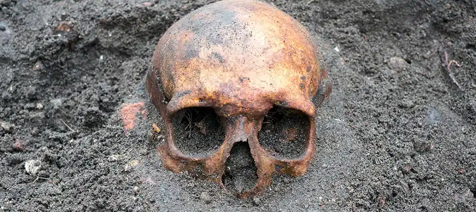 Em uma reviravolta assustadora, uma das tumbas mais antigas da Suécia está sem todos os seus crânios