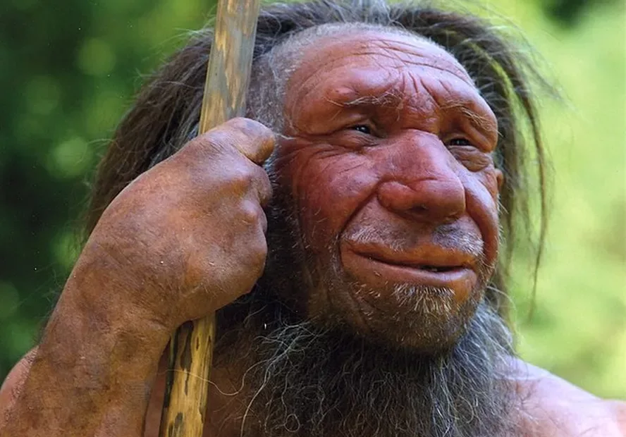 homem de neandertal