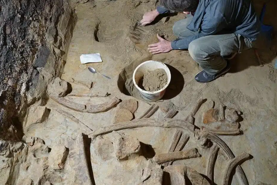 Um arqueólogo trabalhando na adega