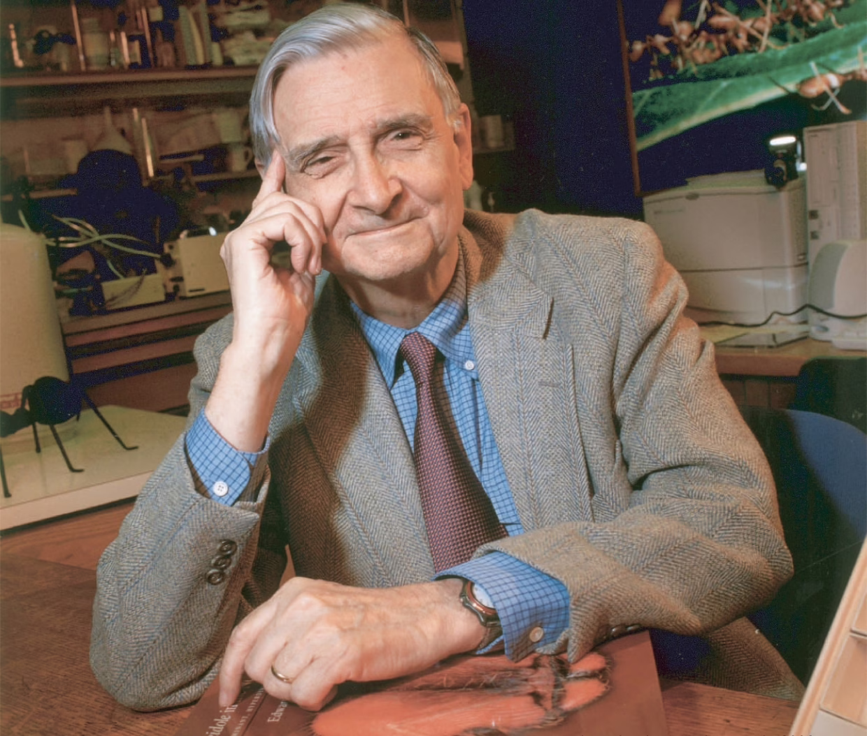 Edward Osborne Wilson, pai da sociobiologia